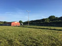 Élevage Canin de l'Esquisse Sauvage