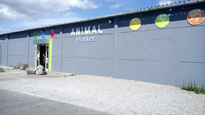 Animal Market