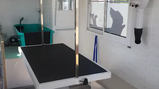 La Petite Baignoire