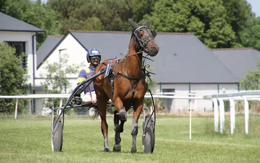 Hippodrome de Beaumont - Nort-sur-erdre
