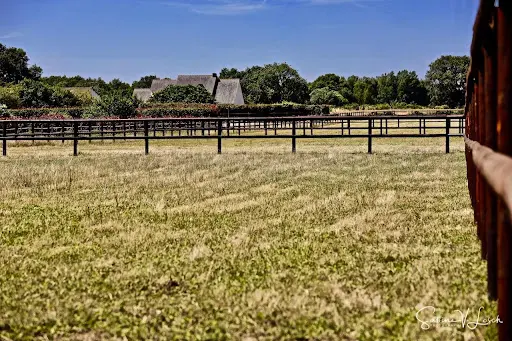 Pool Galop