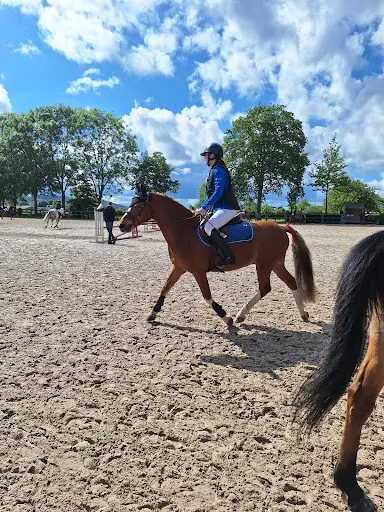 Haras de la Vallee