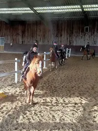 Le Haras d'Oé