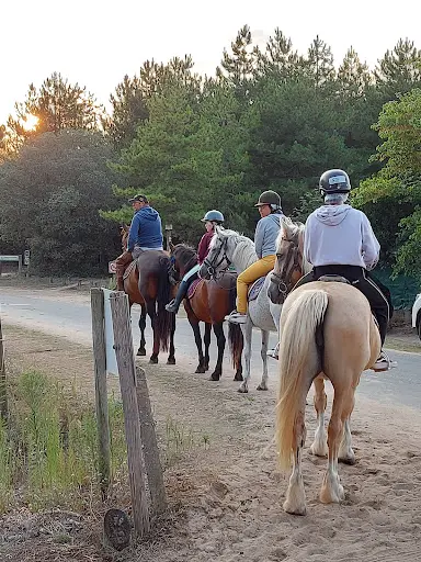 Balade Chevaux & Poney Notre Dame de Monts/saint Jean de Monts