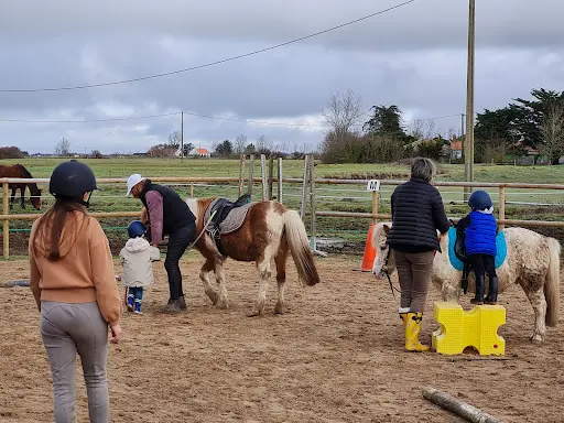 Le Cocon du Marais Poney-club.