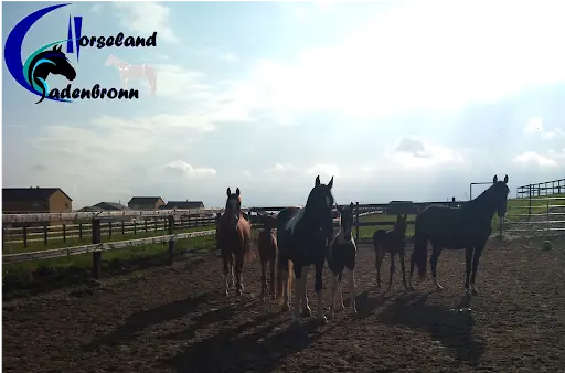 Horseland Cadenbronn