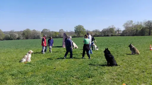 Centre Canin la Faye - Pension, Élevage, Éducation Canine