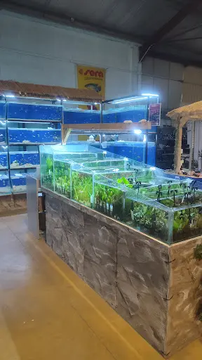 Savoie Koi – Aquariophilie & Bassin