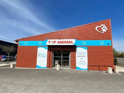 Top Animal Noves