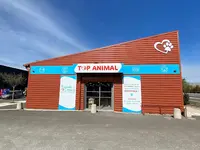 Top Animal Noves
