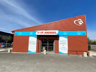 Top Animal Noves