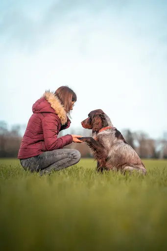 Betty Sancet - Educateur Canin | Comportementaliste Chien&chat | Communication Animale