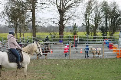 Le Ty Haras