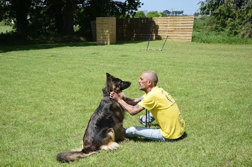 Vdb - Éducation Canine