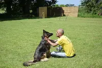 Vdb - Éducation Canine