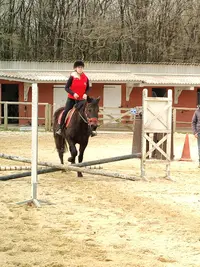 Centre Equestre l'Eperon des Noues - Cholet