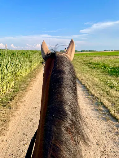 Cheval Nature Stras