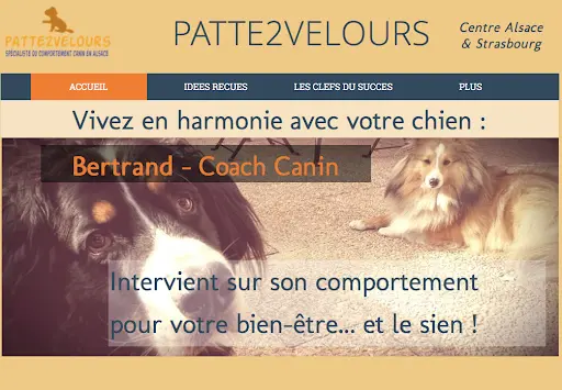 Patte2velours