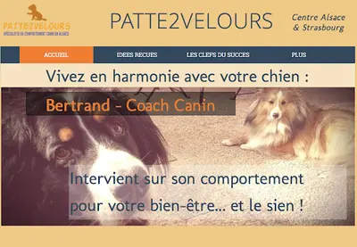Patte2velours