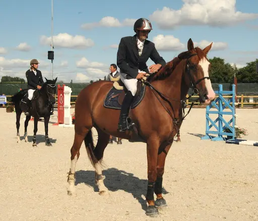 Ecurie Sylvain Frère Poney Club de l'Honel