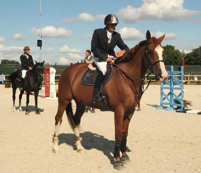 Ecurie Sylvain Frère Poney Club de l'Honel