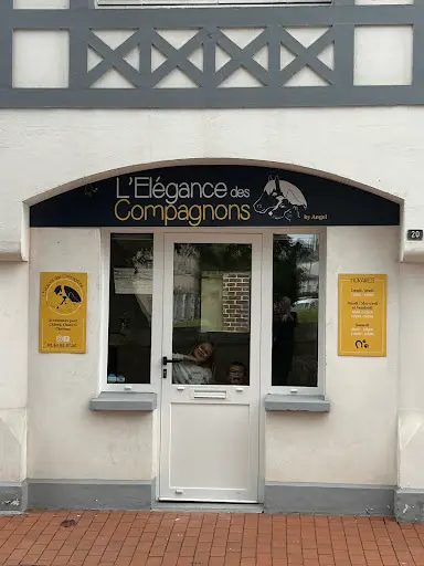 l'Élégance des Compagnons By Angel
