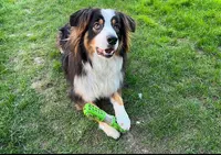 Pension des Pres de Labbaye