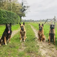 Abama Care - Education Canine