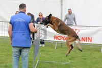 Club Canin Ollainville