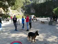 Club Canin Ollioulais de Dressage