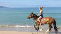 Écuries le Golfe - Scuderie U Golfu
