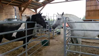Quarterfarms