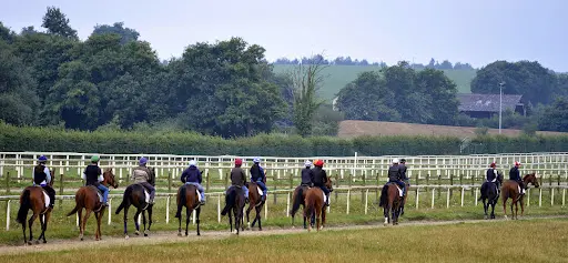 Centre d'Entraînement Régional de Galop de l'Ouest