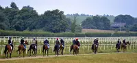 Centre d'Entraînement Régional de Galop de l'Ouest