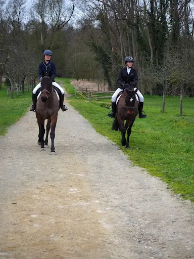 Haras l'Fief