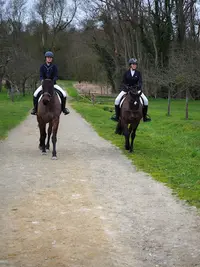 Haras l'Fief