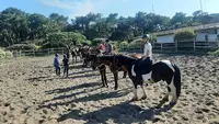 Haras des Plages