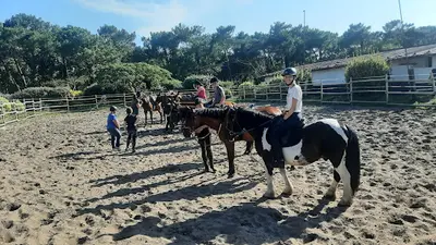 Haras des Plages