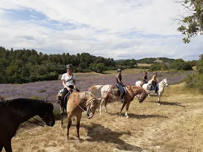 Centre de Tourisme Équestre les Granges