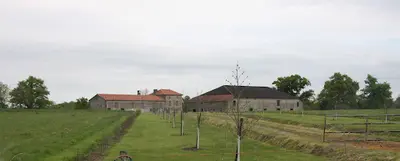 Briera Arabians