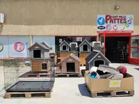 Cent Mille Pattes