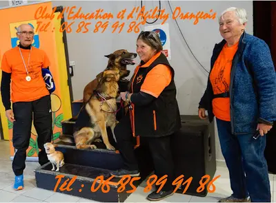 Club Canin d'Education et d'Agility Orangeois