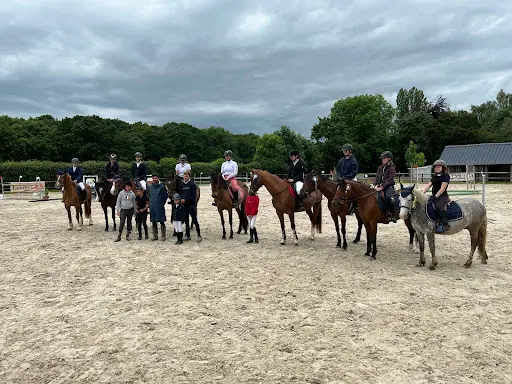 Optimum Horses - Olivier Nicolle