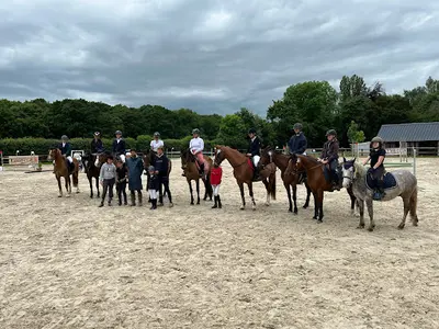 Optimum Horses - Olivier Nicolle