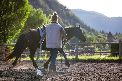 Randonnées Equestre, Haras des Cimes