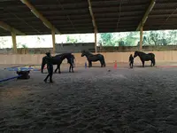 Equiponatura