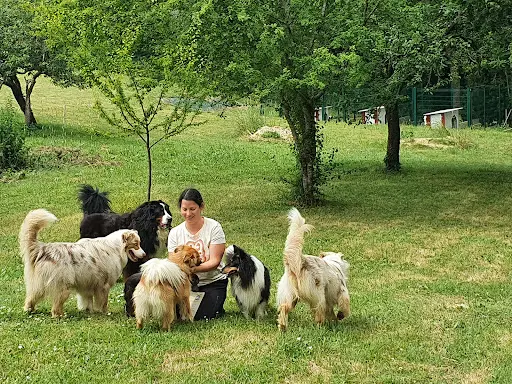 Le Chalet des 4 Pattes du Lary