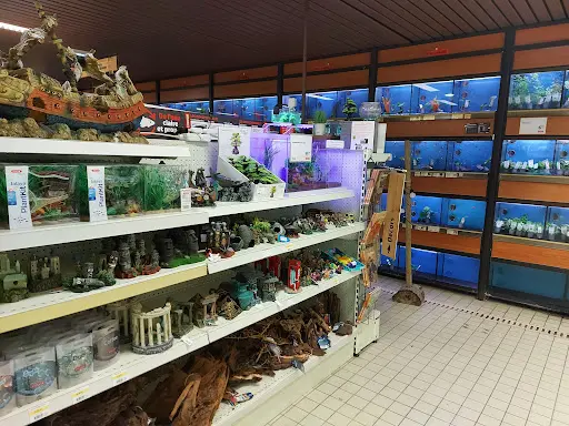 Jardiland