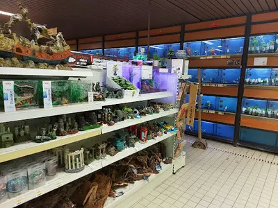 Jardiland