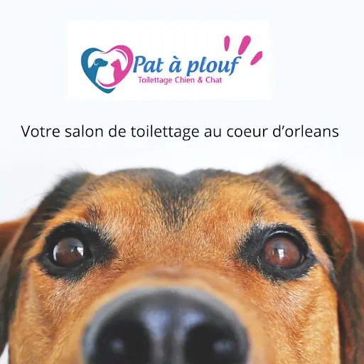 Pat A Plouf
